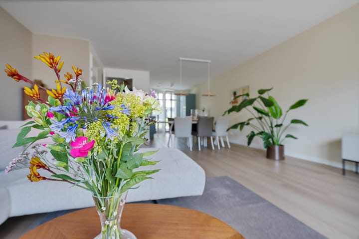 Foto 12 van Vlaserf 24