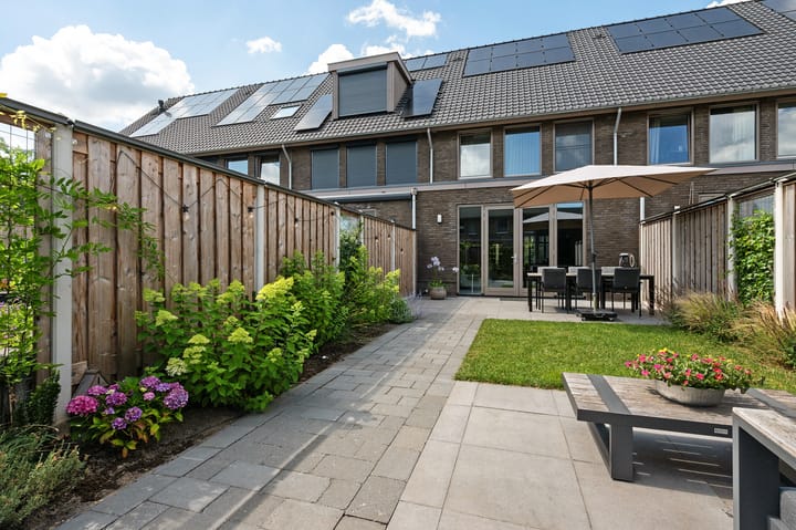 Foto 32 van Vlaserf 24