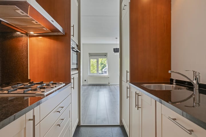 Foto 4 van de Kortveter 4