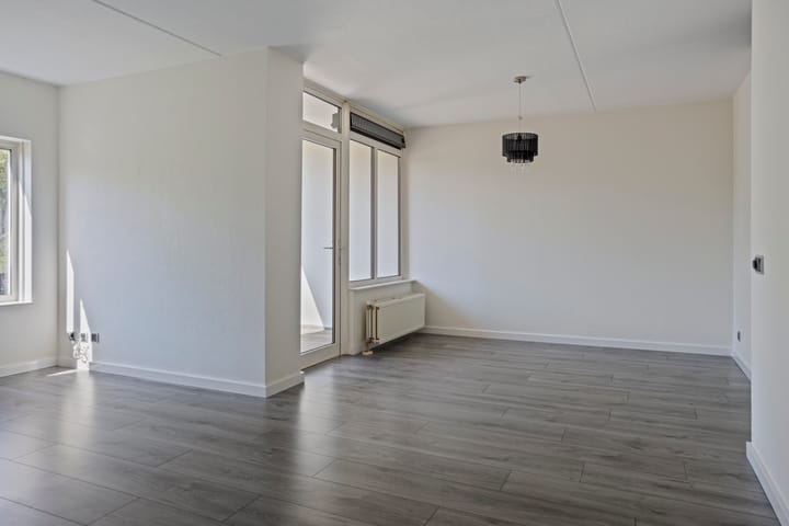 Foto 5 van de Kortveter 4