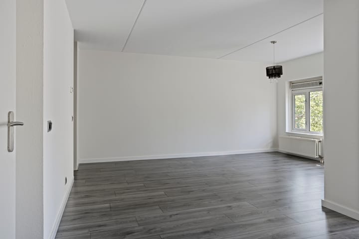 Foto 7 van de Kortveter 4