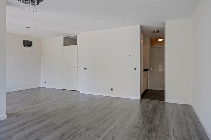 Foto 8 van de Kortveter 4