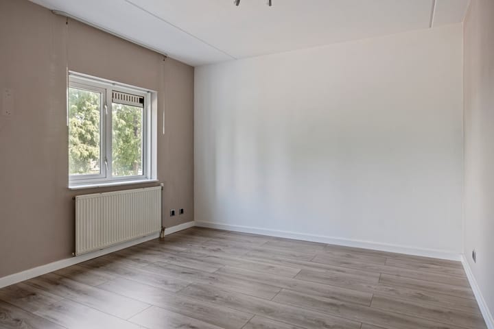 Foto 12 van de Kortveter 4