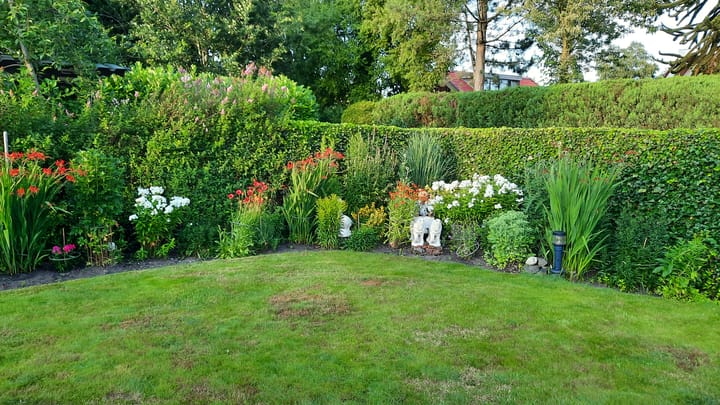 Photo 6 of Frank en Vrijhof 31-33