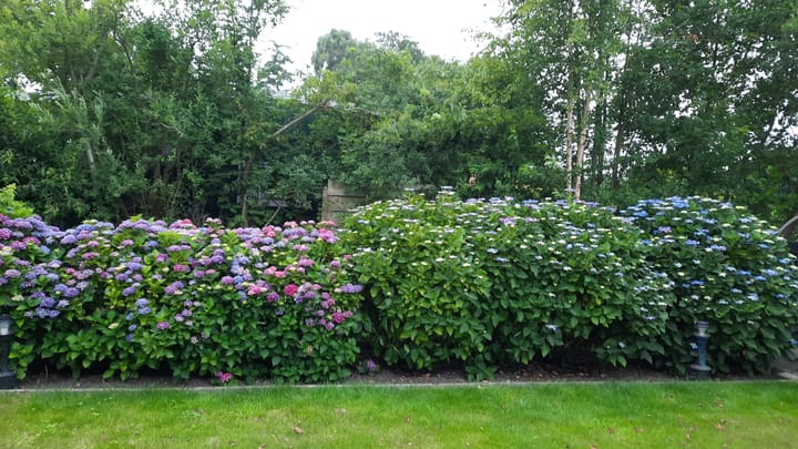 Photo 33 of Frank en Vrijhof 31-33