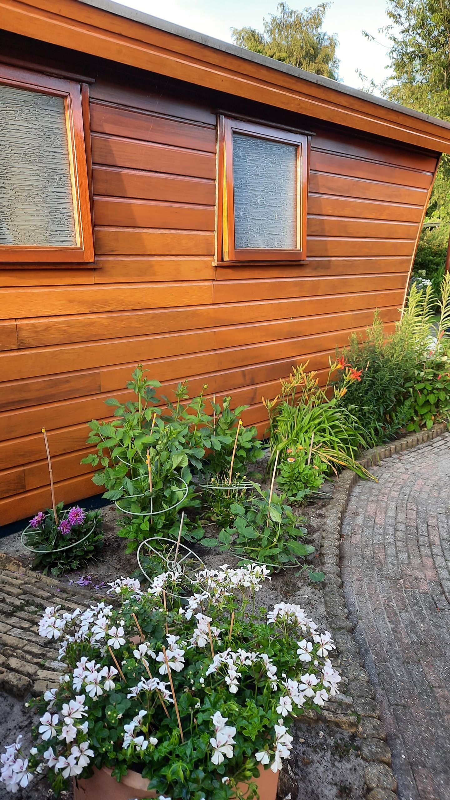 Foto 35 van Frank en Vrijhof 31-33