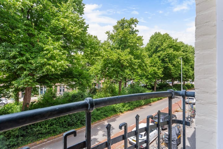 Foto 58 van Bergselaan 150