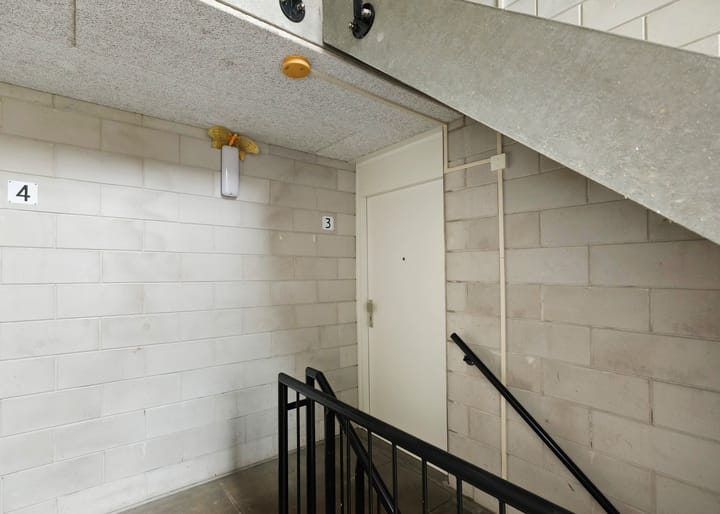 Foto 19 van Rosa Manustuin 3