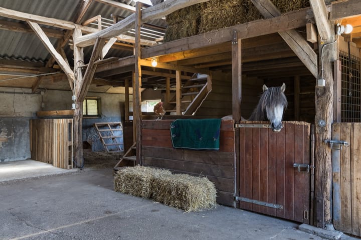 Photo 56 of Veenweg 8