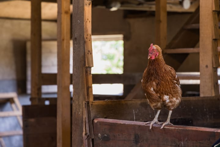 Photo 57 of Veenweg 8