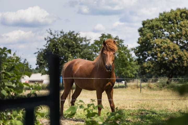 Photo 58 of Veenweg 8