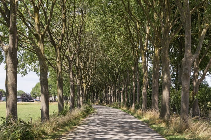 Photo 66 of Veenweg 8