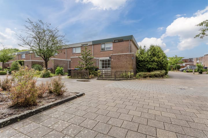 Foto 3 van Botter 13 34