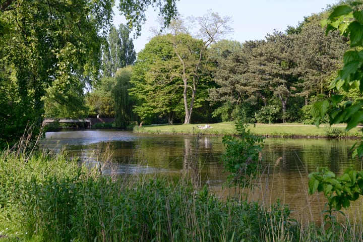 Foto 25 van Albrecht Dürerstraat 46-1