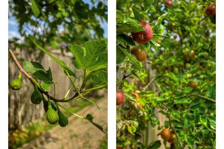 Foto 4 van Ketelmeer 48