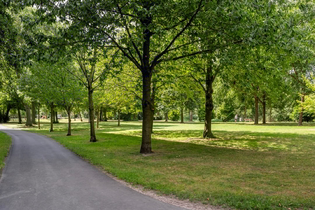 Foto 32 van Griegplein 152