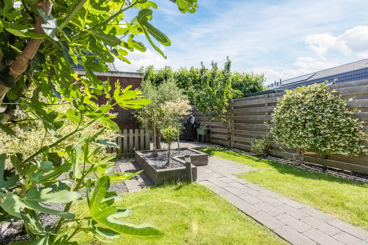 Foto 2 van Hyacint 11