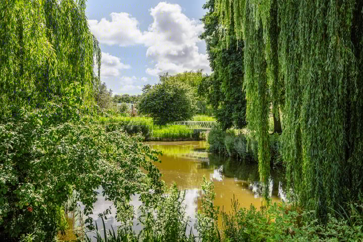 Foto 50 van van Heutszpark 18