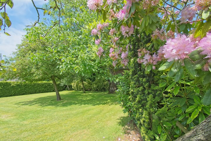 Foto 34 van Kerkweg 95