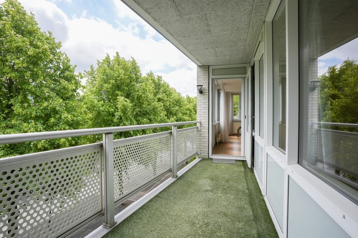 Foto 14 van Sjwats Jris 33