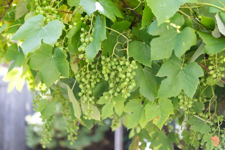 Photo 49 of Jan Steenstraat 1