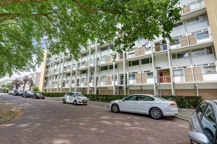 Foto 7 van Van Bosseplantsoen 31