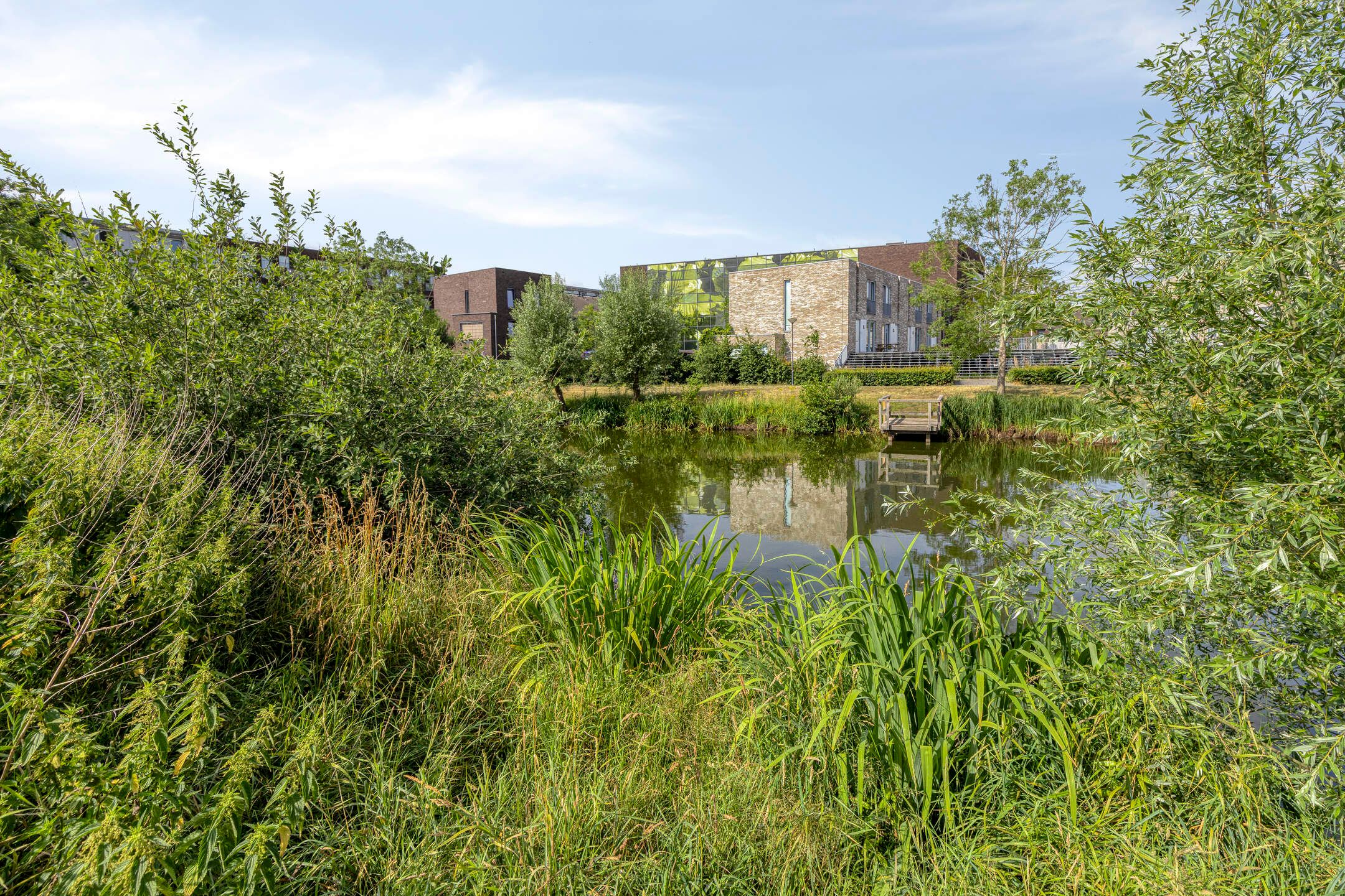 Foto 24 van Anna Bijnsstraat 48