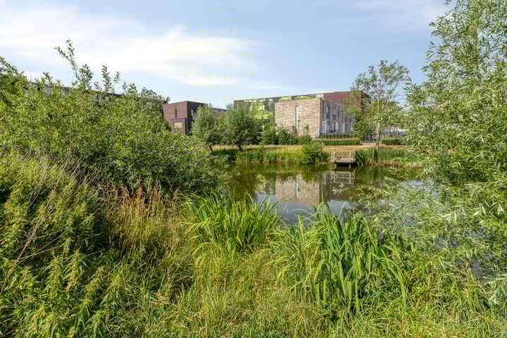 Foto 24 van Anna Bijnsstraat 48