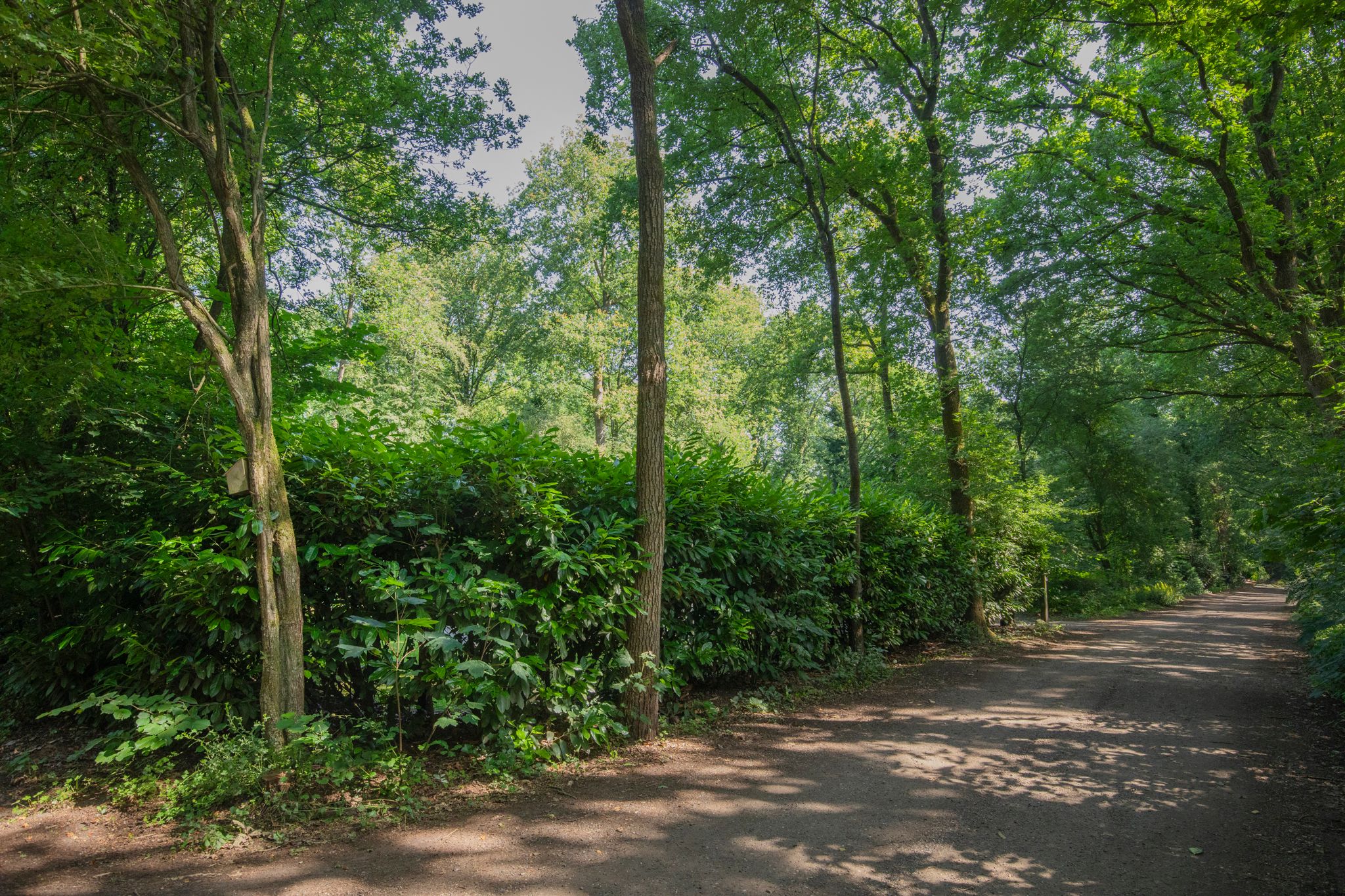 Photo 45 of Slenerweg 83-29