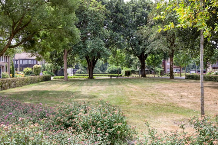 Foto 25 van Antoniuspark 13