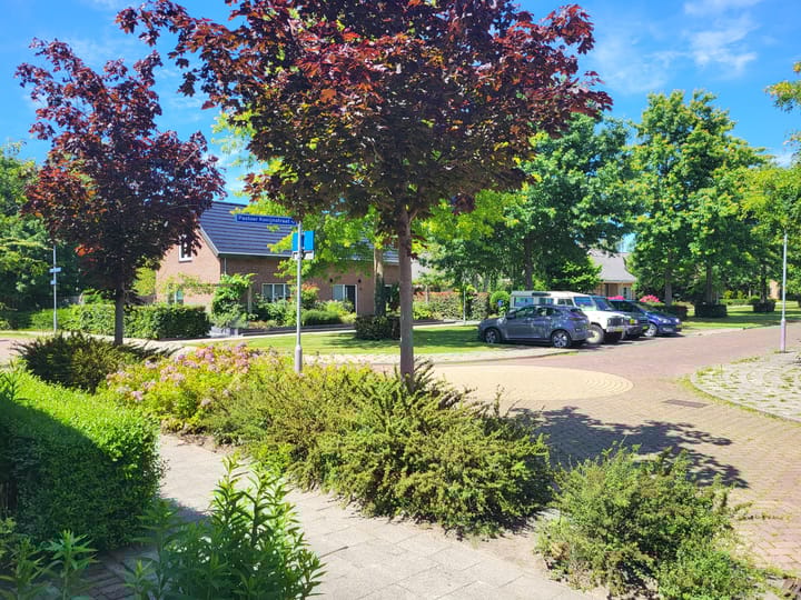 Foto 29 van Parklaan 10