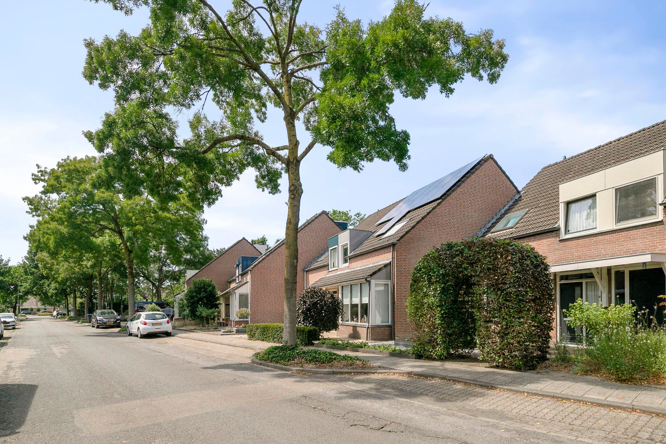 Foto 3 van Morene 412