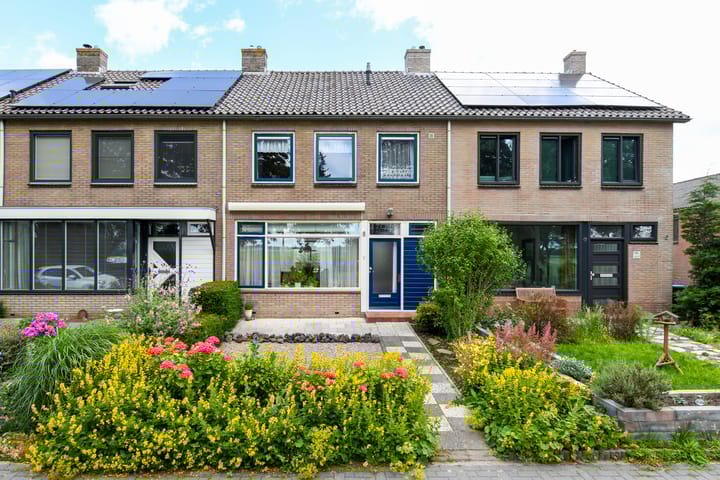 undefined main image