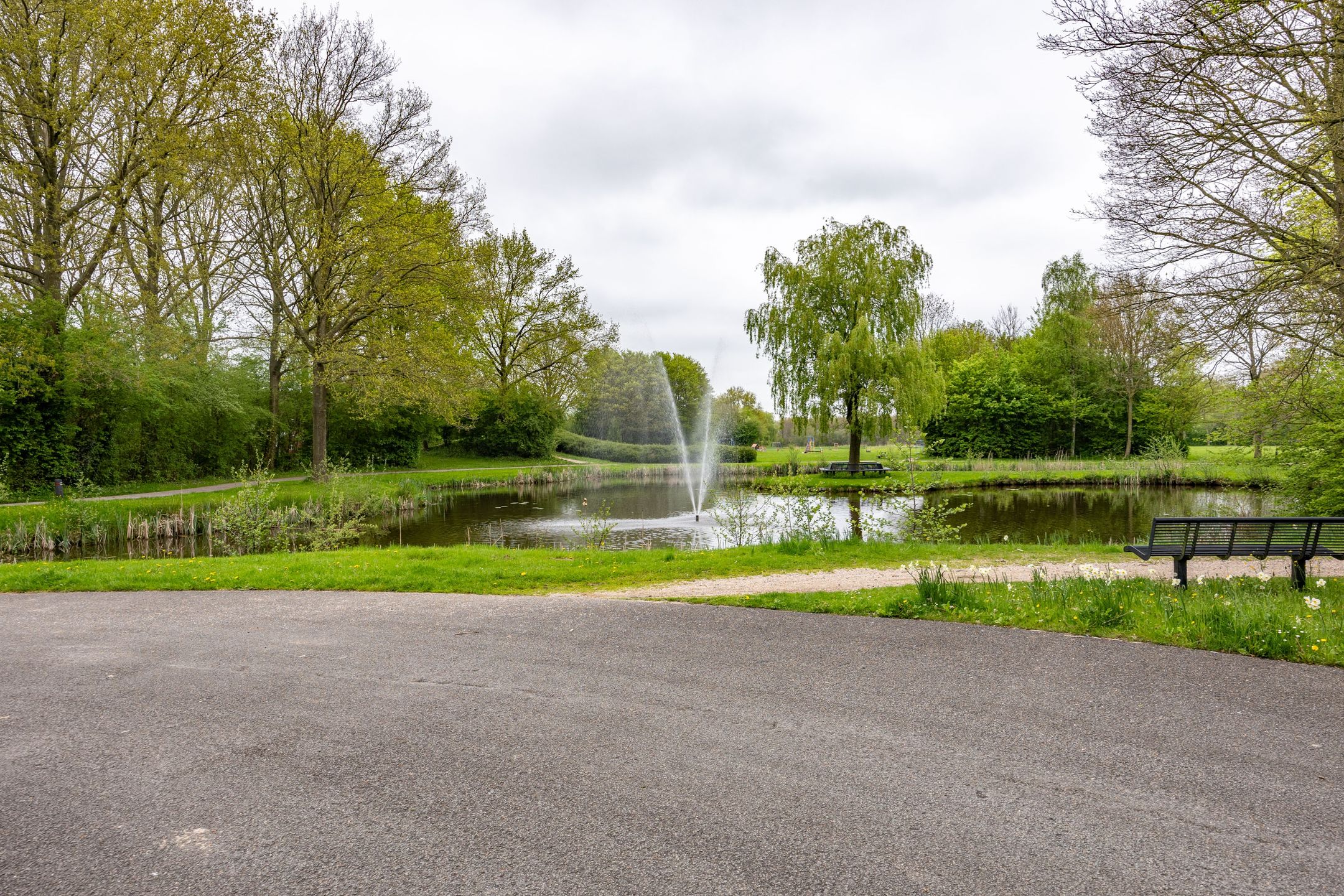 Foto 15 van Notoaristuun 16