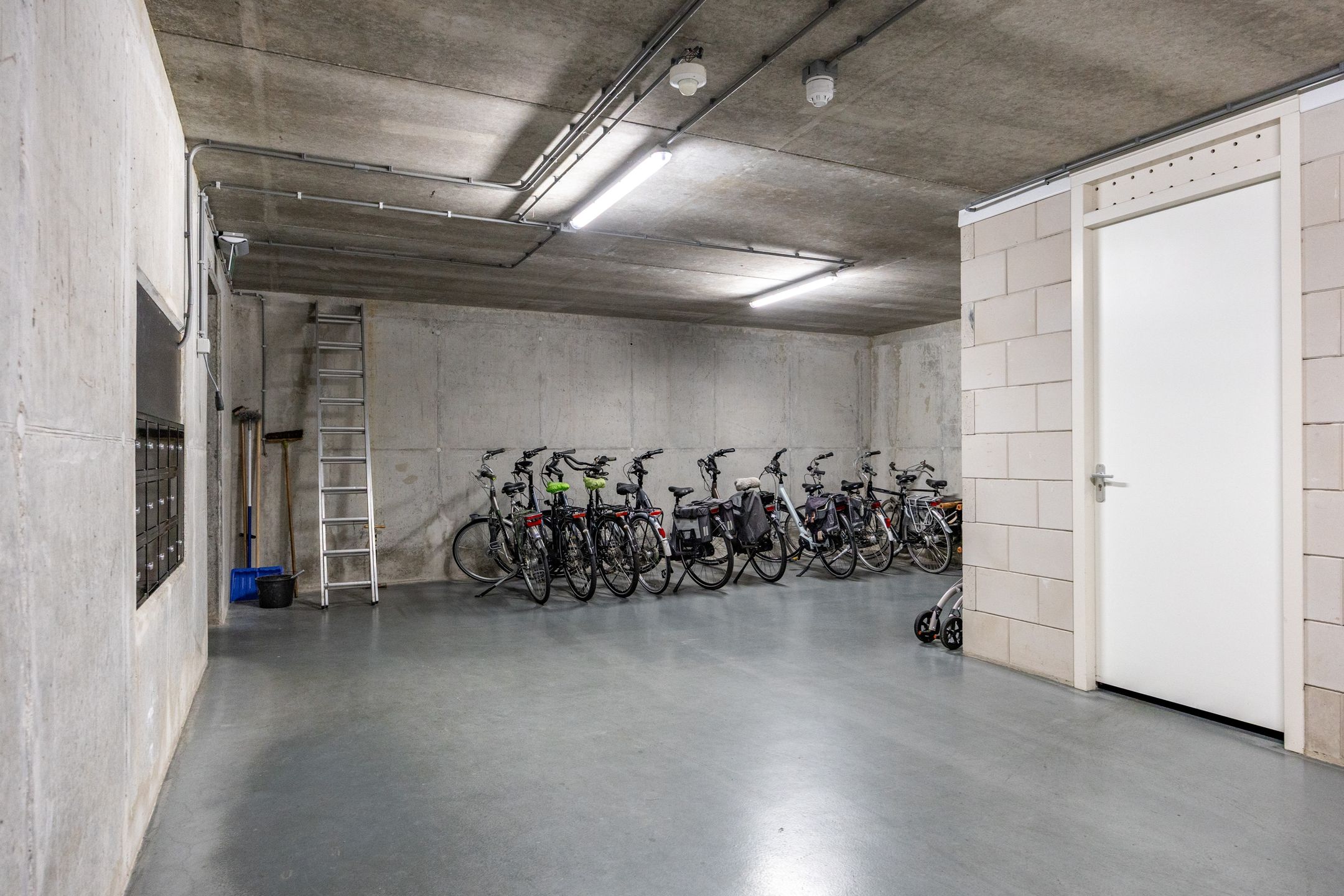 Foto 51 van Notoaristuun 16