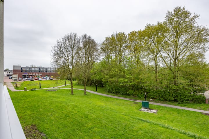 Foto 55 van Notoaristuun 16