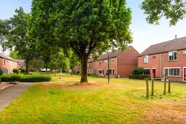 Foto 29 van Kruizemuntstraat 969