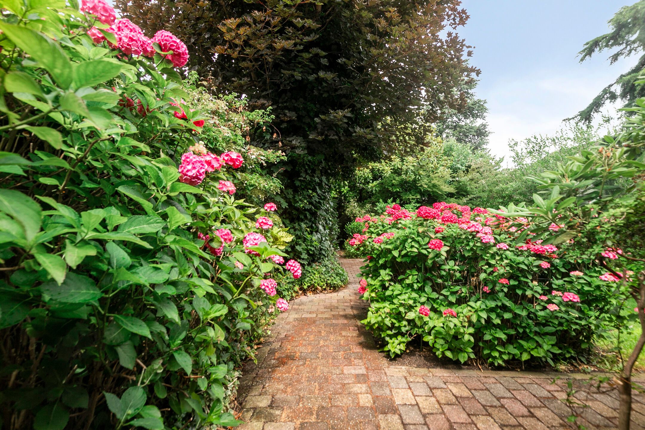 Foto 24 van Reijerskoop 162