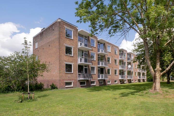 Foto 23 van Gerard Doustraat 5