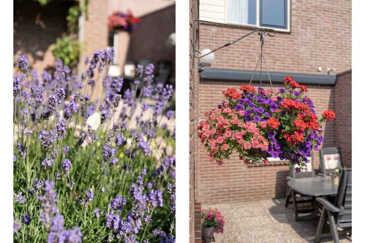 Foto 51 van Van der Duyn van Maasdamstraat 56