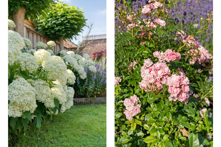 Foto 53 van Van der Duyn van Maasdamstraat 56