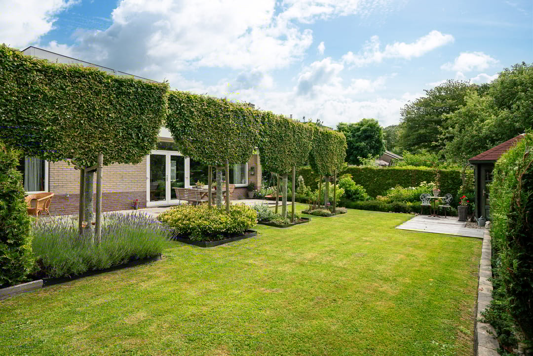 Photo 47 of De Finne 17