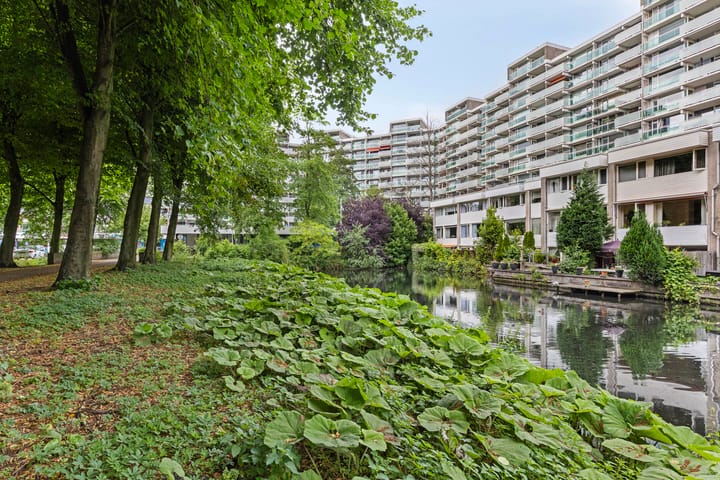 Foto 27 van Forellendaal 906