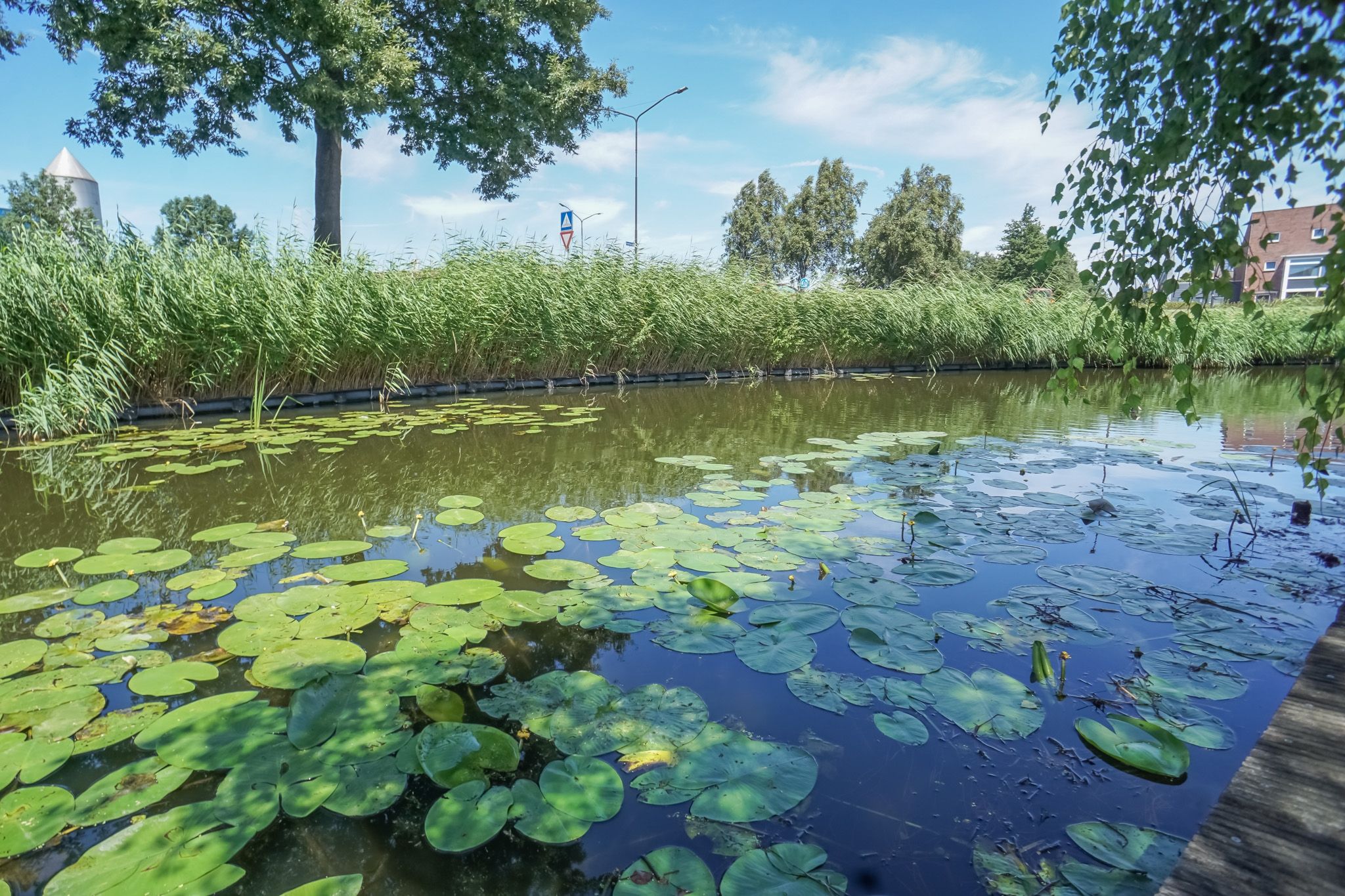 Foto 33 van Anna van Hogendorpland 10