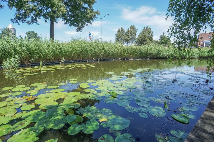 Foto 33 van Anna van Hogendorpland 10