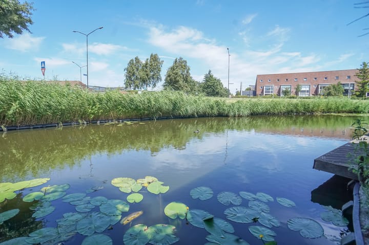 Foto 34 van Anna van Hogendorpland 10