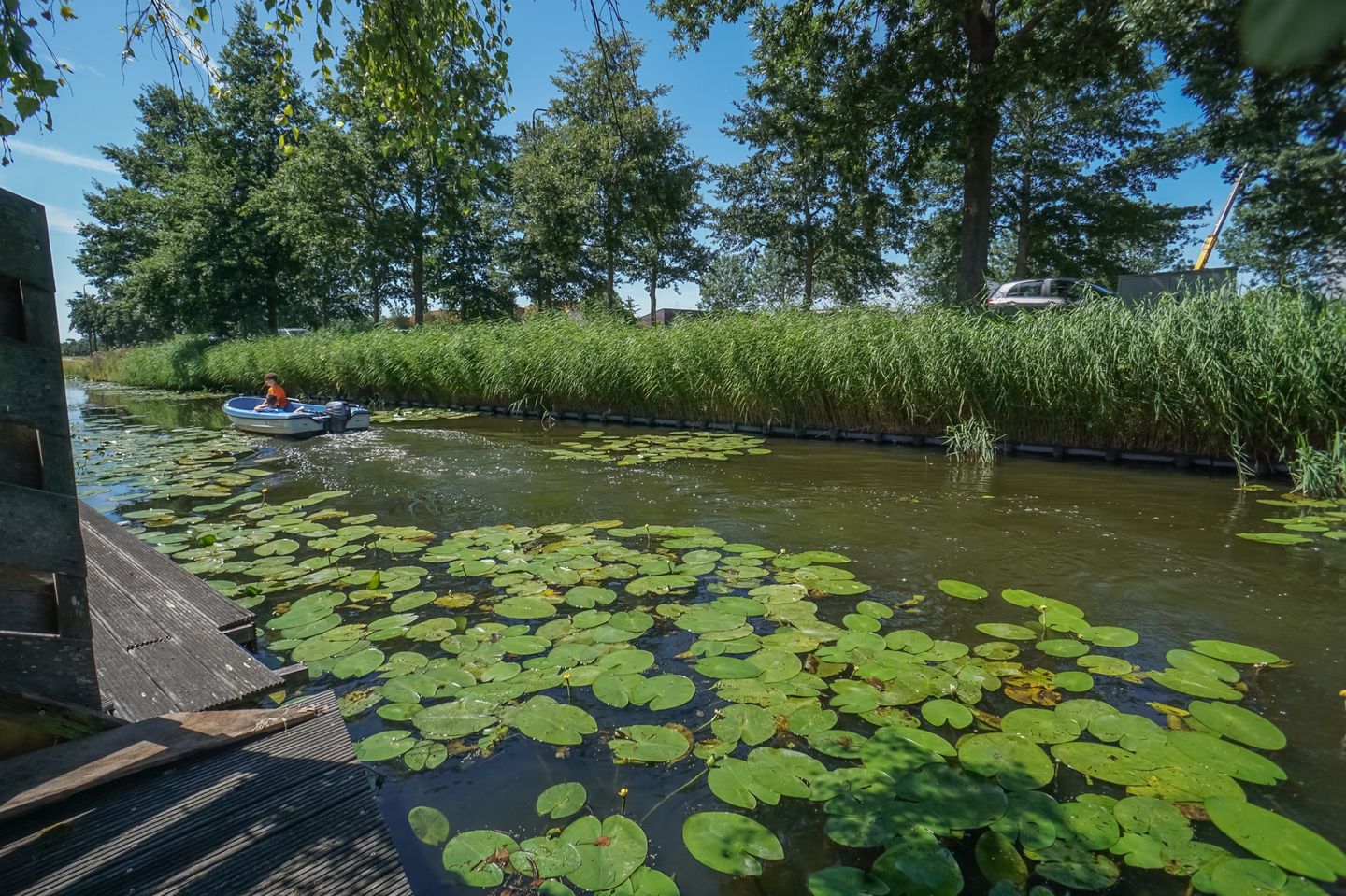 Foto 35 van Anna van Hogendorpland 10