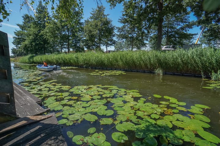 Foto 35 van Anna van Hogendorpland 10