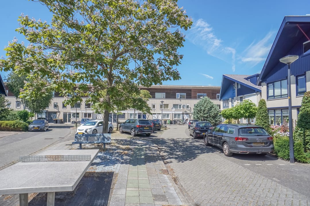 Foto 43 van Anna van Hogendorpland 10