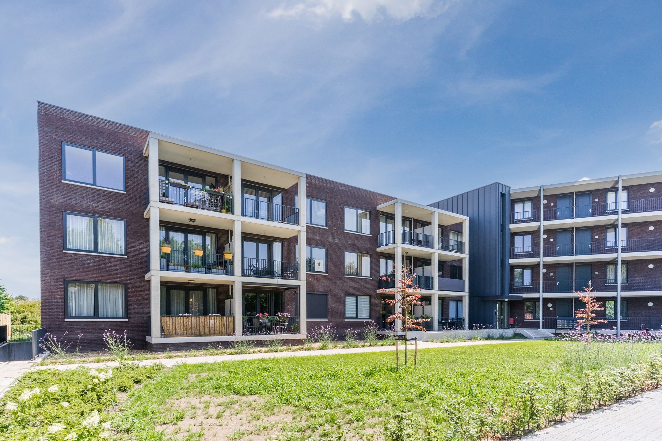 Windvang 2-E, 2, E, Reusel, 5541HP, Noord-Brabant, Nederland 2 